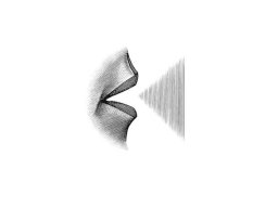 Mouth Art Large stock